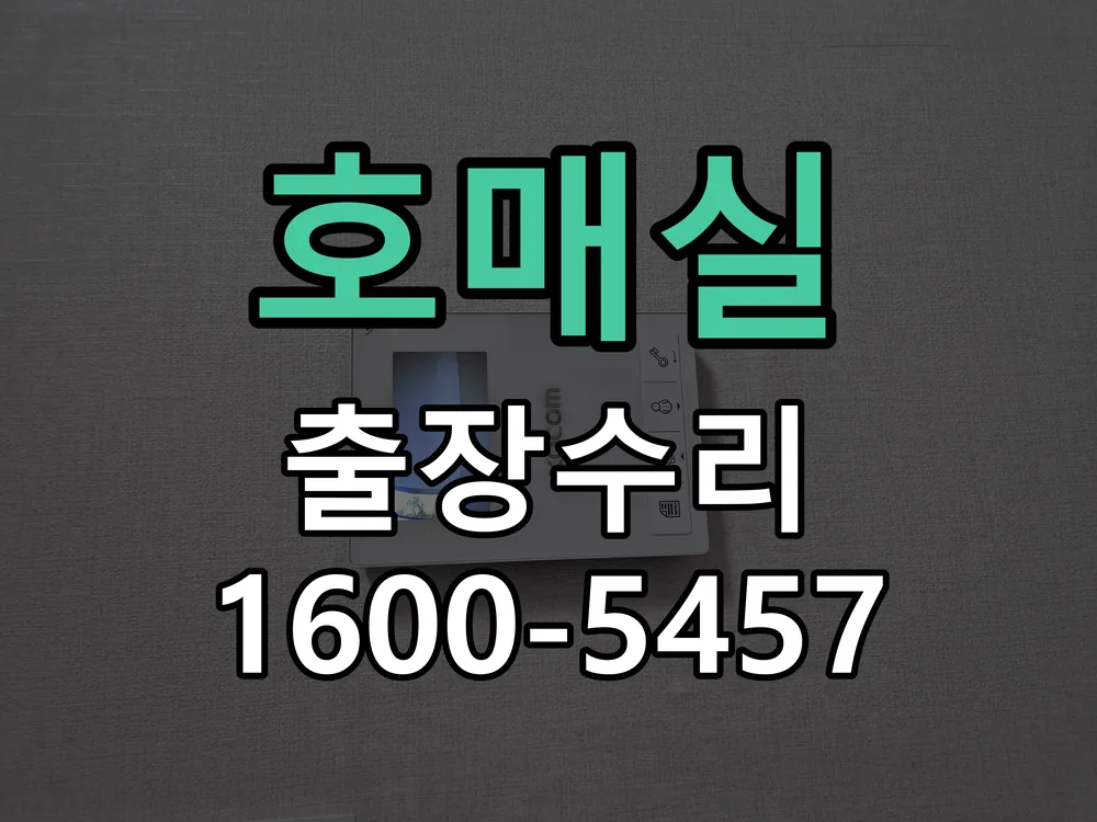 경기 현장 도착 후 상태 확인