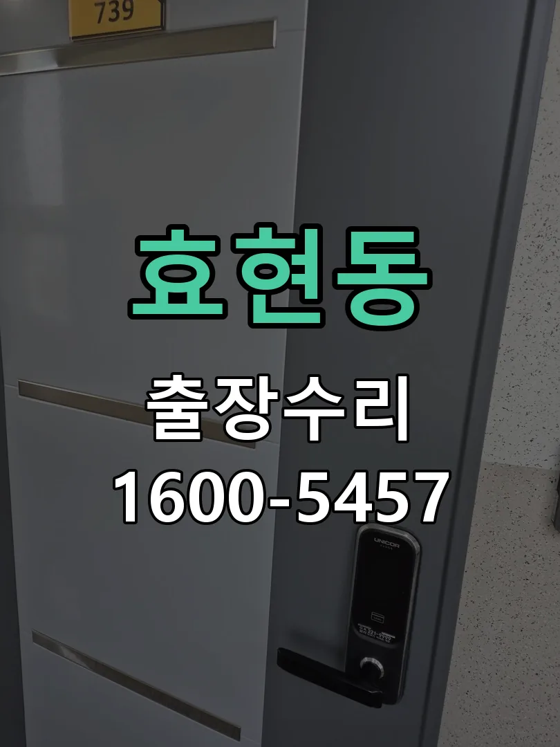 효현동 배선·접점 정리